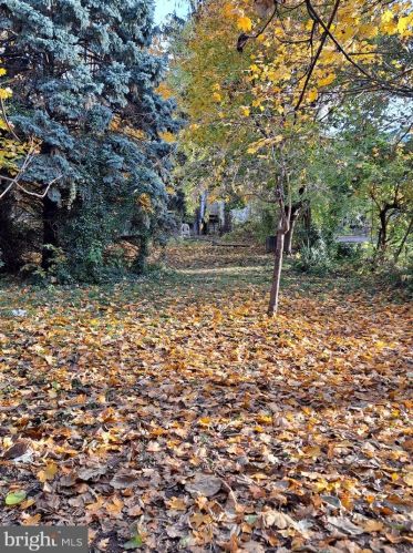 1339 Dekalb St, Norristown PA  19401-3403 exterior