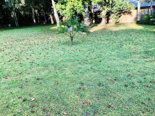 4720 1st Ter, Ocala FL  34471-8446 exterior