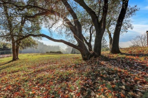 13940 Lodestar Dr, Grass Valley CA  95949-8362 exterior