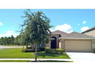 11315 Langworth Hill Ln, Riverview, FL 33579-3949