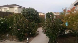 1241 Sweet Briar Dr, Grayson, CA 95363-8331