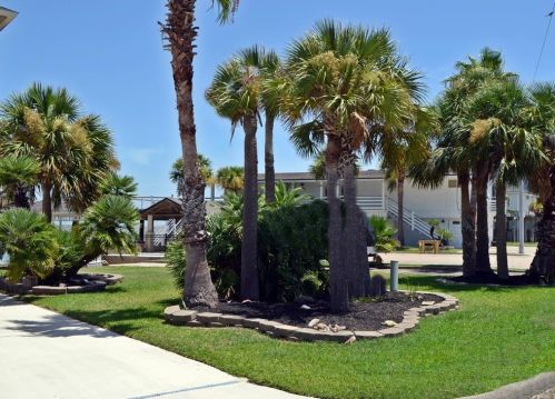 534 Paradise, Galveston TX  77554-6189 exterior