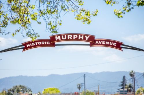 814 Lakehaven Dr, Sunnyvale CA  94089-2553 exterior