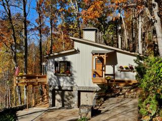 2915 Town Mountain Rd, Asheville, NC 28804-2945