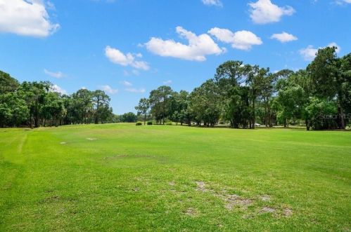 100 Lisa Ln, Oldsmar FL  34677-2369 exterior