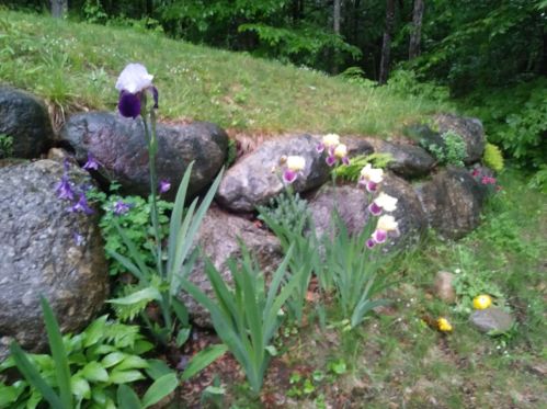 23 Jackson Rdg Rd, Danbury NH  03230-4147 exterior