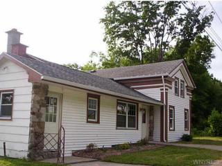 1141 Dale Rd, Dale, NY 14039-9603