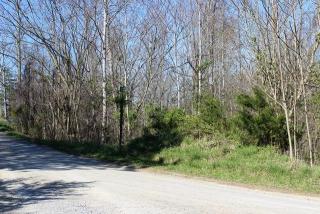 4 Four Star Point Rd, Smithville, TN 37166