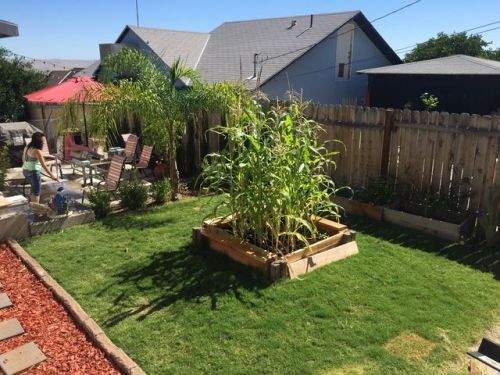 631 D St, Taft, CA 93268-3721