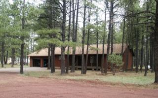 852 Falcon Ln, Pinetop, AZ 85935-8862