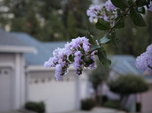 120 Carriage Ln, Grass Valley CA  95949-9509 exterior