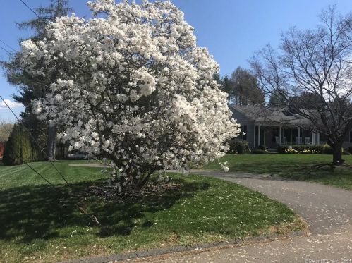 109 Moore Hill Dr, Southington CT  06489-2929 exterior