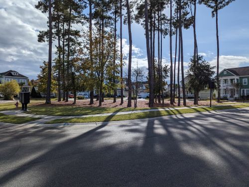 3684 Maidstone Dr, Mount Pleasant SC  29466-7506 exterior