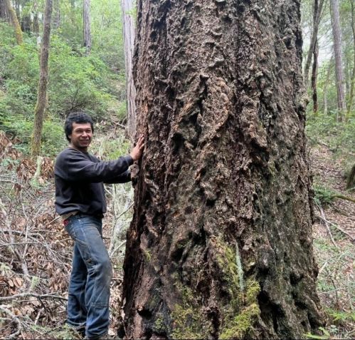 43400 Iversen Rd, The Sea Ranch CA  95445-7582 exterior