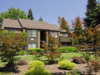 132 Fountain Oaks Cir, Sacramento CA  95831-3964 exterior