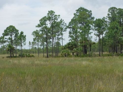 25400 Birdon Rd, Jerome, FL 34141-2017