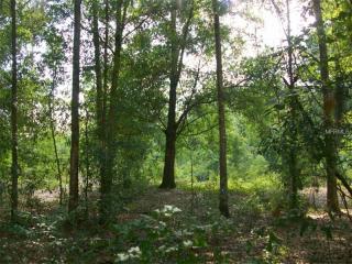 2730 Cr 543, Sumterville, FL 33585-5120