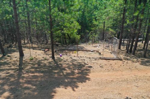 16463 Pine Knoll Rd, Grass Valley CA  95945-8433 exterior