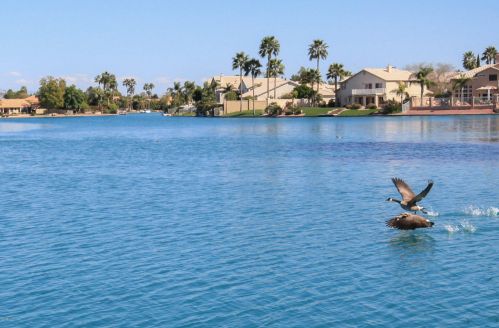 517 Marina Dr, Gilbert AZ 85233-6613 exterior