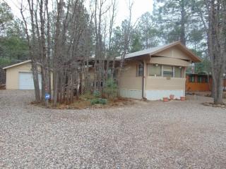 4091 Mark Twain Dr, Pinetop, AZ 85935-8663