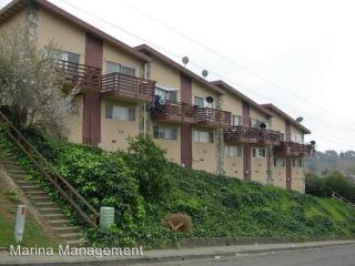 102 Avian Dr, Vallejo CA  94591-4919 exterior