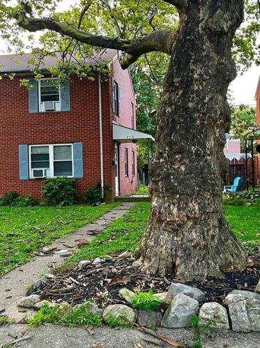 213 Palmer St, Easton PA  18042-7238 exterior