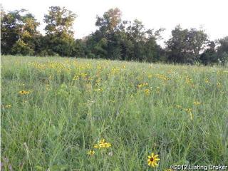66 Fox Lair Blvd, Wilsonville, KY 40023-6445