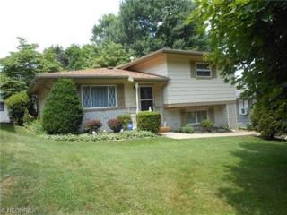 926 Burbank Ave, Akron, OH 44305-1441