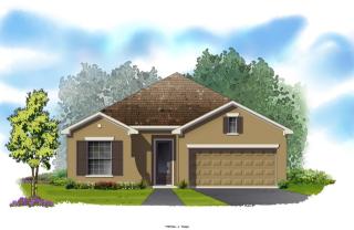 11871 Frost Aster Dr, Riverview, FL 33579-4101