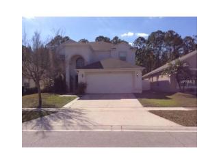 1914 Palmetto Pine Ln, Orlando, FL 32826-4814