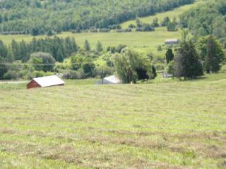2954 County Route 84, Troupsburg, NY 14885-9741