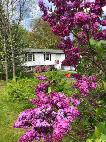 545 Quaker Ln, Hyde Park NY  12538-3011 exterior