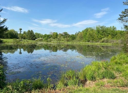 26 Pine Grv, Amherst MA  01002-2717 exterior