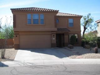 4131 Pinto Ln, Phoenix AZ  85050-8982 exterior