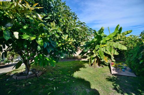 2494 Avenue 136th, San Leandro, CA 94577-4149