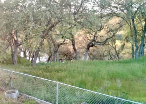 3243 Eagle Point Ln, Lake Nacimiento CA  93446-4130 exterior