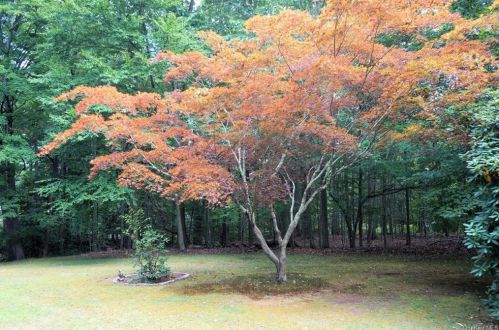 354 Alden Rd, Yorktown Hgts NY  10598-3204 exterior