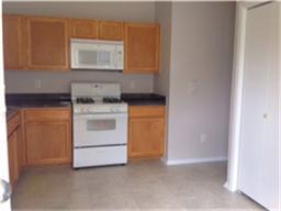 1655 Nichole Woods Dr, Houston TX  77047-4487 exterior