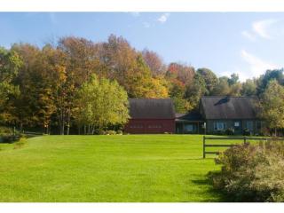 158 Forrest Farm Rd, Pawlet, VT 05761-9602