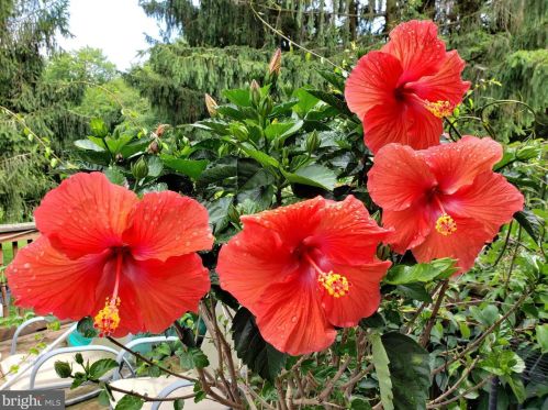 1139 Wilson Ave, Glen Mills PA  19342-9610 exterior