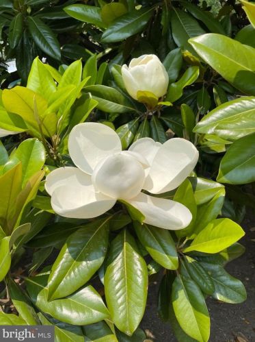 714 Pomona Rd, Riverton NJ 08077-4233 exterior