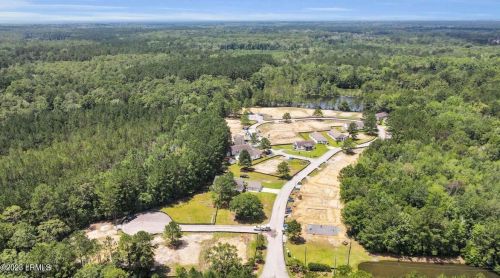 386 Rudy Dr, Bellinger SC 29927 exterior