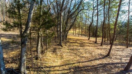1886 Wilson Pike, Franklin, TN 37067-7506