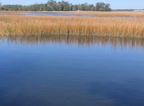 261 Slipper Shell Ct, Mount Pleasant SC  29464-6724 exterior