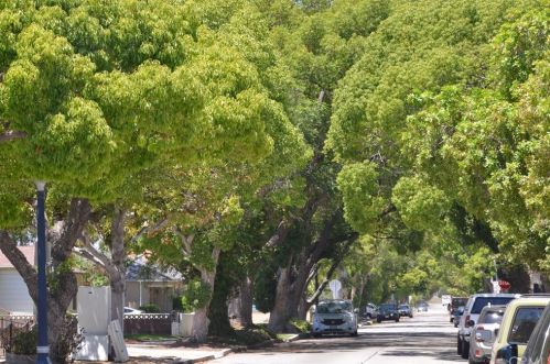 3520 Lemon Ave, Long Beach, CA 90807-4720