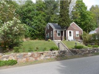 62 Litchfield St, Weathersfield, VT 05156-2515