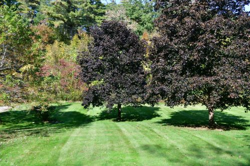 11 Deer Hollow Rd, Plaistow NH  03865-2119 exterior