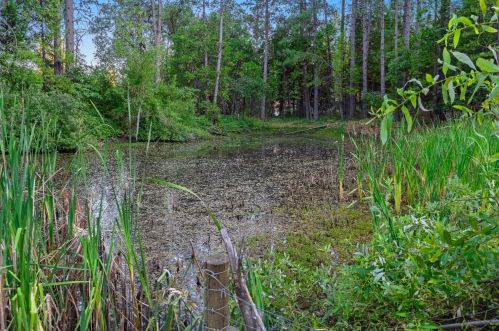 13549 Greenhorn Rd, Grass Valley CA  95945-9337 exterior