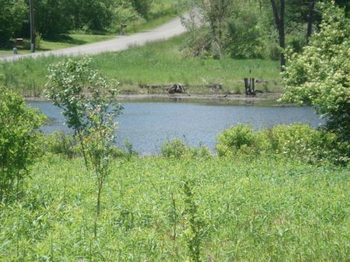 565 Leekville Rd, Binghamton, NY 13905-5605