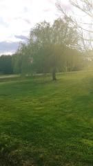 526 Moore Rd, Lebanon TN  37087-7361 exterior